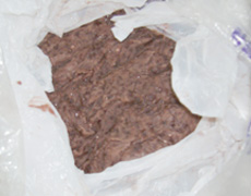 食品残さ あんこ