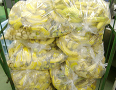 食品残さ バナナの皮