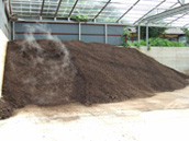 いきいき醗酵中