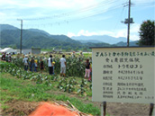 ＪＡふじかわふれあい農園で使用